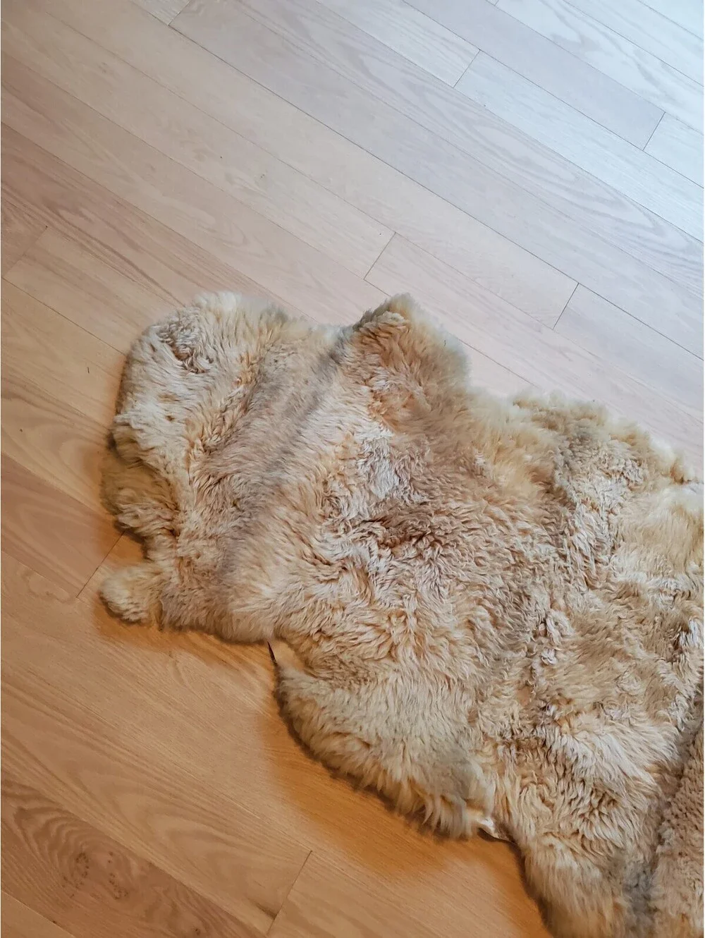 Eagle Wools Quality Lamb & Sheepskin Rug / Throw